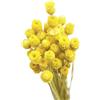 Dorccsi Bouquet di margherite secche naturali, decorazione in vaso da tavolo, 50 steli, fiori secchi naturali, gialli, fiori finti per la decorazione in vaso bouquet di margherite secche