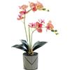 Generico Orchidea Artificiale Viola a Due Punte con 12 Petali in Vaso Fiore Decorativo Phalaenopsis Bianco Finta Orchidea Arancione Realistica Decorazione a Farfalla Bianca Simulata in Vaso (striped pink)