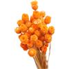 Dorccsi Bouquet di margherite secche naturali, decorazione in vaso da tavolo, 50 steli, fiori secchi naturali, arancioni, fiori finti per la decorazione in vaso bouquet di margherite secche