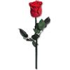 Joollurm eterni regali di rose rosse per le donn