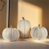 Fangoo 3 Pezzi Resina Zucche Decorazioni Glitterate Bianche e Dorate Centrotavola per Fattoria Autunno Regalo Cucina Decor per Ringraziamento e Raccolto, Centrotavola, Camino, Casa, Ufficio o Fest