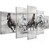 Runa Art Cavalli Murali Tela Non Tessuta 5 Pezzi Animali Bianco e Nero Camera Da Letto Corridoio 014153c
