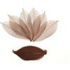 WADSUWAN SHOP 100 marrone colore scheletro foglie albero della gomma naturale scrapbooking Mestiere fai da te di nozze, Mulberry leaves, by Wadsuwan Shop