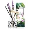 Cocod'or Cocodor Reed Diffuser/Lavanda/diffusore di fragranza per Ambienti/con Fiori Veri preservati e Artificial Lavanda / 120ml / Pure Cotton