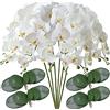 FagusHome 6 Pz Fiori Orchidea Phalaenopsis Fiori Artificiali 80cm con 4 Pz Foglie d'orchidea Artificiali Phalaenopsis Fiori Orchidea Artificiali Pianta Finta per Decorazione (6+4Pz)