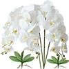 FagusHome 4 Pz Fiori e Foglie Orchidea Phalaenopsis Artificiali 80cm con 2 Pz (4)