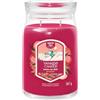 Yankee Candle Candela In Giara grande Santa on Skis 567 gr