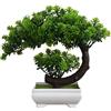RoadLoo Bonsai Artificiali, RoadLoo 1 Pezzo Artificiali Pianta Bonsai Albero Bonsai Artificiale Plastica Artificiale Bonsai Piante Artificiali Decorazione per Balcone Giardino Ufficio Ornamenti