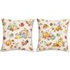 Bonhause Federe per Cuscini Zucca Autunno 45 x 45 cm Blu Arancione Zucche Foglie Autunno Velluto Morbido Rosa Decorativo per Divano Letto Casa Giardino Terrazza Set di 2