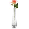 Bamboopack Vaso da fiori in vetro soffiato fatto a mano, vaso da fiori in vetro a stelo singolo, vaso per boccioli, centrotavola per matrimoni, ricevimenti da pranzo (trasparente)