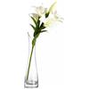 TOPWEL Vaso da fiori in vetro soffiato soffiato a mano con bocca obliqua, vaso singolo, base pesante, stelo singolo, vaso per fiori e boccioli per ufficio, decorazione per la casa e matrimoni (trasparente