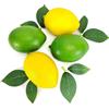 EQLEF Limoni finti e Limes Realistico, 4 pz falsi Limoni e Limes con 4 pz Artificiali Foglie di Limone Simulazione Frutta Lifestyle Lemon Decor per la Casa Cucina e Display (Limoni gialli e verdi)