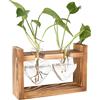 bssmmai Stazione di propagazione in vetro per piante, decorazione vintage con cornice in legno, set per casa, soggiorno, ufficio, tavolo, davanzale della finestra, vaso per fiori idroponici, piccolo