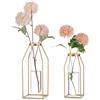 Sziqiqi Oro Metallo Fiori Vaso: Cornice Moderno Provette di Vetro 19,5/24,5 cm - Geometrico Vaso per Tavolino da Salotto Chic Cilindro Piante Tulipani Pampas