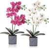 LOMOHOO Fiori di orchidea artificiale,2 pezzi di fiori di orchidea in vaso di orchidea finte con vaso di plastica per decorazione da tavolo decorazione per la casa ufficio festa di matrimonio