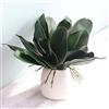 huaao 6 pezzi di phalaenopsis artificiale verde simulazione orchidee fiori phalaenopsis foglie vero lattice tocco verde pianta decorazione per fiori giardino bonsai decorazione (26 cm/5 foglie)