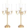 Inweder Candelabri da Matrimonio Candelabri da Pavimento Alti - 2 Pezzi Candelabri Dorati 5 Bracci 53cm Portacandele a Spirale in Metallo Portacandele Antichi per Centrotavola Natale Eventi Cerimonia