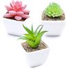 LPEPLL Pianta Finta Grassa, 3 Piante Finte Verdi per Decorazione Casa, Ideale per Cortile, Ufficio e Balcone, Piante Artificiali per Interno ed Esterno, Decorazione Giardino e Casa