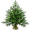 eveXmas - Altair - 65cm - Albero di Natale Artificiale Piccolo - Classico Verde - 62 rametti 100% punte in PE Polietilene - Con supporto in tela