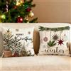 WEITAPYT 2 PCS Natale Federe Cuscini, Fodere per Cuscini Natale, Cuscino Natalizio, Natales Federe Cuscino 45 X 45, Decorazioni Natalizie Adatte A Camere da Letto, Divani E Letti/D