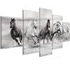 Runa Art - Quadri Cavalli 200 x 100 cm 5 Pezzi XXL Decorazione Murale Design Bianco e Nero 014151c