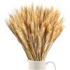SLFYEE 100PCS Spighe di Grano Decorative Fiori Essiccati Bouquet Naturali Fiori Secchi Finti da Interno per Decorazioni Casa Vaso Tavolo Matrimonio DIY 40cm