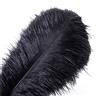 DCRWVCTON 20 piume naturali di struzzo piuma 10-12 pollici (25-30 cm) per centri di nozze decorazione della casa (25-30 cm, nero)