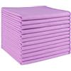 HOMEXCEL panni in microfibra per la pulizia dei vetri 12 pezzi, senza pelucchi, senza striature, riutilizzabili per la pulizia di finestre, vetri, specchi, schermi, ecc, viola - 12" x 12"