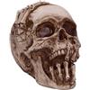 Nemesis Now Ornamento con Licenza Ufficiale James Ryman, Teschio scheletrato, 20 cm