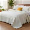 SHANNA Set trapunta 3 pezzi: lusso per tutte le stagioni, 220 x 240 cm, ultra morbida e delicata sulla pelle, 2 federe 50 x 70 cm (Crema-A)