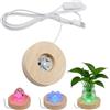 Hapivida Base Espositiva a LED per Cristalli, Elegante Base in Legno di Quercia con Luci Colorate, Diametro 8 cm Supporto per Display per Gioielli, Vetro, Acrilico, Arte, Regalo