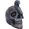 Nemesis Now Serpentine Fate Unisex Articoli Decorativi multicolore poliresina