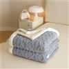 Chickwin Tinta Unita Coperta Pile Sherpa, Jacquard Coperta Spessa Invernale Coperta Calda Microfibra Divano Fluffy Super Morbida per Letto Singolo Matrimoniale (70x100cm,Blu Pallido)