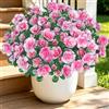 Weldomcor 8 mazzi di fiori artificiali, fiori artificiali come veri per esterni e interni, resistenti ai raggi UV, per esterni, balcone, fioriera da giardino, finestre, interni ed esterni, rosa