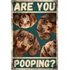 GLOBLELAND Targa in Metallo Vintage con Bassotto e Scritta in Lingua Inglese Are You Pooping 12x8 Pollici Stile Retrò Decorazione da Parete per Casa Bagno Club