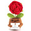 FIDWALL Fiore all'Uncinetto Positivo con Messaggio Motivazionale - Ricordo del Mese di Nascita Fatto a Mano per Donna - Supporto Emozionale, Portafortuna, Decorazione Originale (Rosa - Feb/Giu)