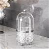 CHIRISEN, porta-pennelli per trucco con coperchio, organizer per cosmetici girevole a 360° con protezione antipolvere, ideale come regalo per fidanzata, moglie o amiche (trasparente)
