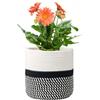 KMERCE Grande cesto per piante intrecciato, diametro 30 cm, vaso per piante da camera, cesto per fiori per interni, cesto grande interno boho, vaso per piante lavorato a maglia con manici