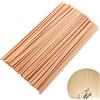 eModwey Set di 100 Bastoncini Reed Diffusore - Rattan-Reed Sticks -Bastoncini di Ricambio per Bottiglie di Vetro Diffusore - per Aromaterapia, Spa, Meditazione (20cm)