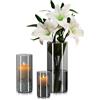 Hewory Vaso Vetro Cilindrico Vaso Fiori: Hewory 3 Vasi Vetro per Candele Galleggianti, Nero Vasi Decorativi Interno Moderni Grigio per Pampas Centrotavola Soggiorno, 10/15/20