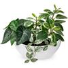 Hollyone Piante Artificiali Miste in Vaso Bianco Piante Artificiali Decorative con Vaso Barca Piante Artificiali Interni Per Casa Decorazione Camera Da Letto Bagno Cucina Bagno Mensola