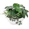 Hollyone Piante artificiali miste da 30 cm, in vaso bianco, piante finte decorative con vaso da barca, piante finte per interni per decorazione domestica, camera da letto, bagno, cucina, bagno