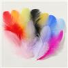 SinChic Piume Decorative,300 PCS Piume Colorate Piume di Artigianali Piume Bianche Abbellimenti per Scrapbooking Piume Albero di Natale per Lavoretti Decorazioni Matrimonio Carnevale