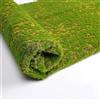 Feegow per Muschio artificiale, muschio artificiale, pianta verde finta per decorazione di negozi, casa, patio, colore giallo