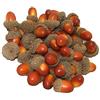 Wenxiaw Decorazione Ghianda Frutta Ghiande Finte Piccole per la Decorazione Della Cucina di Casa Decorazione Natalizia Tavolo Autunnale Scatter Decorazione Artigianato 50 Pcs (marrone)