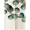 Hiseng Noren Tenda Giapponese della Porta Tappezzeria, Divisorio Stile Curtain Tapestry Cucina Ristorante Negozio Camera Doorway Corridoio Decorazione (75x150cm,Eucalipto)