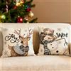 WEITAPYT 2 PCS Natale Federe Cuscini, Fodere per Cuscini Natale, Cuscino Natalizio, Natales Federe Cuscino 45 X 45, Decorazioni Natalizie Adatte A Camere da Letto, Divani E Letti/H