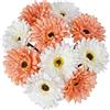 VaryFloral 10 Pezzi Fiori Artificiali Gerbera Artificiale Bianco e Arancione Mazzo di Fiori Margherita Finte Realistico Fiori Finti per Decorazioni Bouquet Sposa per la Casa Matrimoni Feste