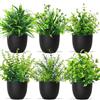 Betylifoy Piante Artificiali in Vaso Mini 6PCS Piccole Piante Finte Verde Decorazione Interna Pianta di Eucalipto Piante Finte di Plastica per Ufficio Casa Bagno Scrivania (6, Pentola nera)