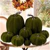 Benjia 8 Pezzi Zucche Decorative Autunnali, Velluto Grande Piccolo Esterno Schiuma di Finte Zucche Artificiali Decorazioni per la tavola del Halloween Festa del Raccolto Autunno Ringraziamento (Verde)